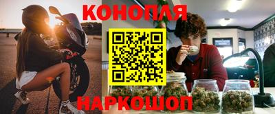 стаф Кунгур