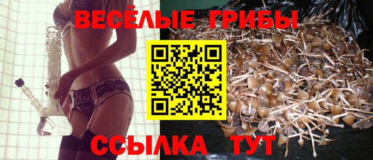 дарнет шоп  Галлюциногенные грибы Psilocybine cubensis  Вход с VPN  Усолье-Сибирское 