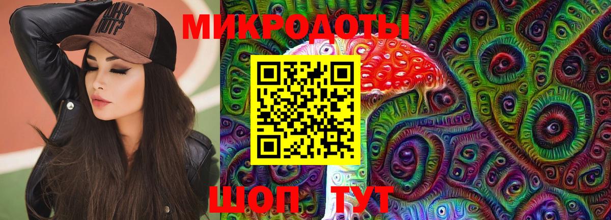 Псилоцибиновые грибы Psilocybine cubensis Усолье-Сибирское
